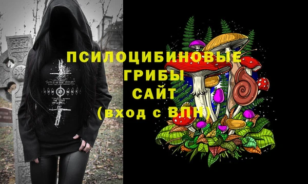 jwh Козельск