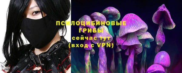кокс Козловка