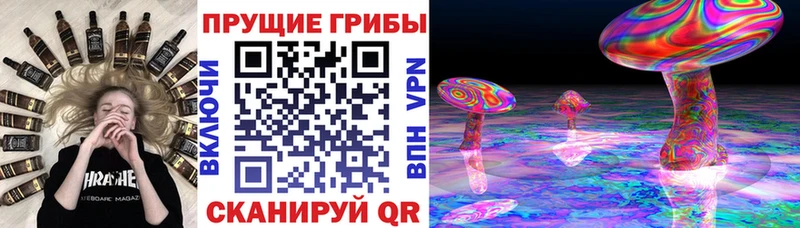 блэк спрут как зайти  закладка  Ногинск  Псилоцибиновые грибы ЛСД 